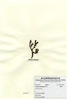 藏品(鳳尾菜)的圖片